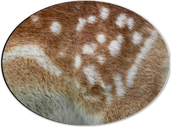 WallClassics - Dibond Ovaal - Bruine Vacht met Witte Vlekken van Hert - 40x30 cm Foto op Ovaal (Met Ophangsysteem)