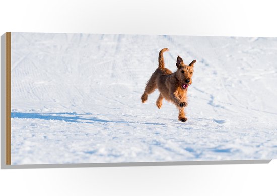 WallClassics - Bois - Chien marron courant dans la neige - 100x50 cm - 9 mm d'épaisseur - Photo sur bois (avec système de suspension)