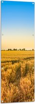 Tuinposter – Graanveld bij Zonsopkomst - 50x150 cm Foto op Tuinposter (wanddecoratie voor buiten en binnen)
