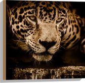 WallClassics - Hout - Bruine Jaguar - 50x50 cm - 9 mm dik - Foto op Hout (Met Ophangsysteem)