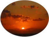 Dibond Ovaal - Zonsondergang Boven een Rustige Zee - 96x72 cm Foto op Ovaal (Met Ophangsysteem)