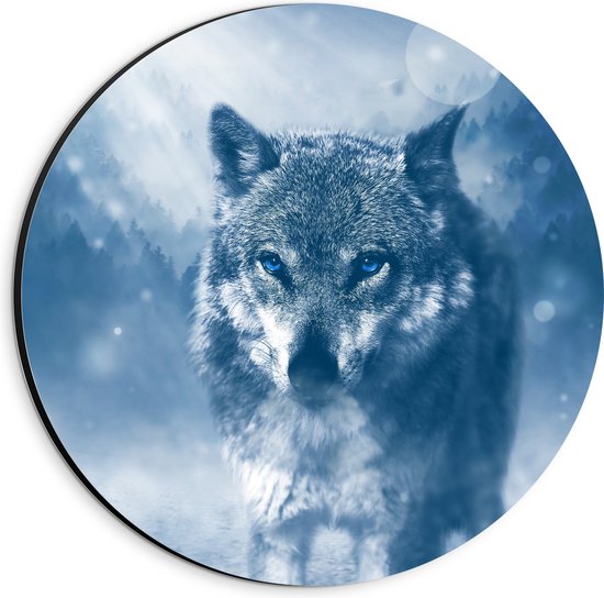 Dibond Muurcirkel - Foto van Wolf in Landschap met Felblauwe Ogen - 20x20 cm Foto op Aluminium Muurcirkel (met ophangsysteem)