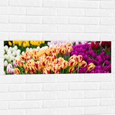 Muursticker - Bloemenveld met Oranje, Roze en Paarse Tulpen - 90x30 cm Foto op Muursticker