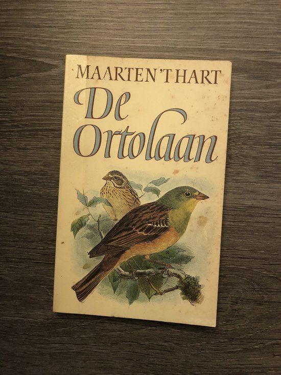 De ortolaan, Maarten 't Hart 9789029519540 Boeken