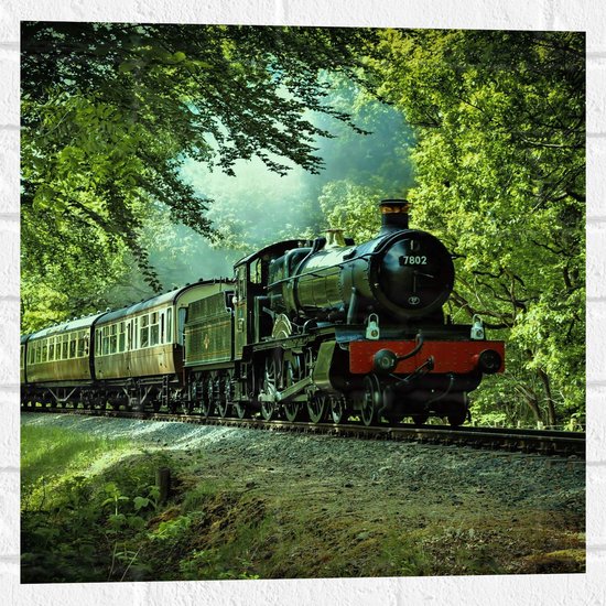 WallClassics - Muursticker - Train à vapeur sur Rails dans la forêt - 50x50 cm Photo sur Muursticker