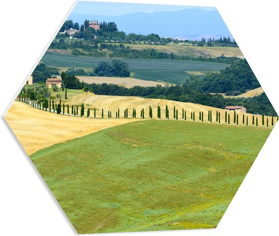 PVC Schuimplaat Hexagon - Heuvelachtig Zomers Landschap met Traditionele0 Gebouwen - 60x52.2 cm Foto op Hexagon (Met Ophangsysteem)