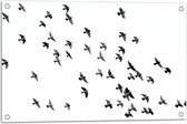 WallClassics - Poster de jardin - Volée Vogels - 75x50 cm Photo sur poster de jardin (décoration murale pour extérieur et intérieur)