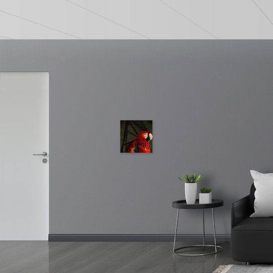 WallClassics - Toile - Vogel Tropical - Perroquet - 40x40 cm Photo sur Toile (Décoration murale sur Toile)