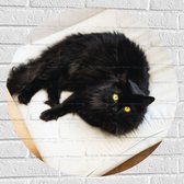WallClassics - Muursticker Cirkel - Zwarte langharige Kat op Wit Kussen met Gele Ogen - 70x70 cm Foto op Muursticker