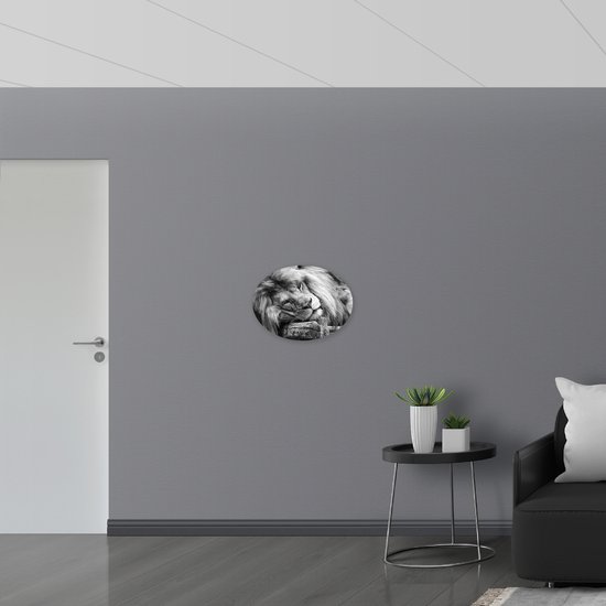 WallClassics - Dibond Ovale - Lion couché en Zwart et Wit - Photo 56x42 cm sur ovale (avec système de suspension)