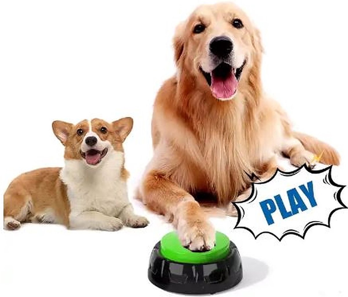 Dog Buzzer Recordable Button - Dog Talk Button - Boutons enregistrables -  Dog Training 