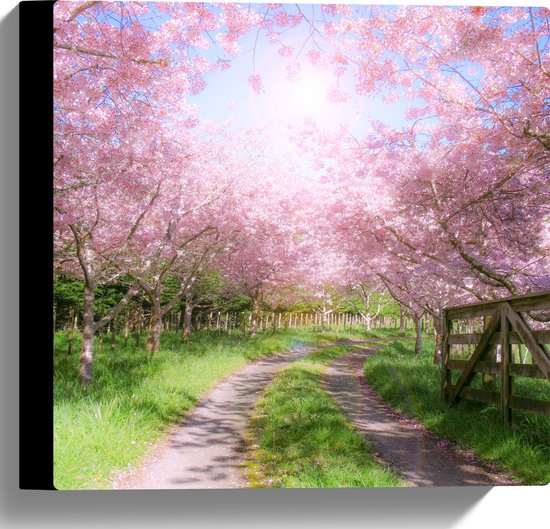 WallClassics - Toile - Fleur rose le long d'un chemin de terre - 30x30 cm Photo sur toile (Décoration murale sur toile)