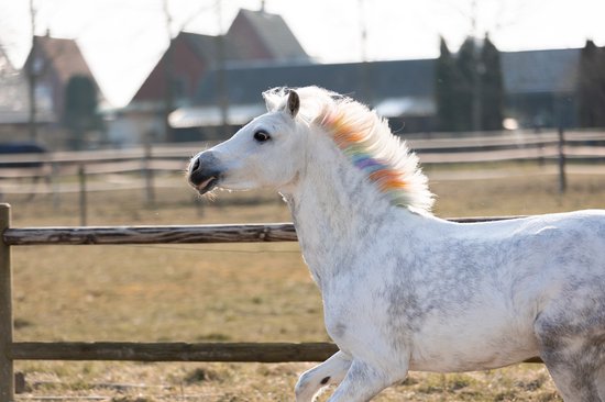 Lucky Horse Unicorn Regenboog Kleurkrijt – Haarkrijt – Regenboog Haarverf – Diverse kleuren - 6 stuks - Lucky Horse
