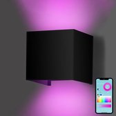 Gologi Smart Applique Murale - Intérieur et Extérieur - Lampe Zwart - Industrielle - Lampe d'Extérieur - Étanche - Économe en énergie et Inoxydable - RVB - Avec App