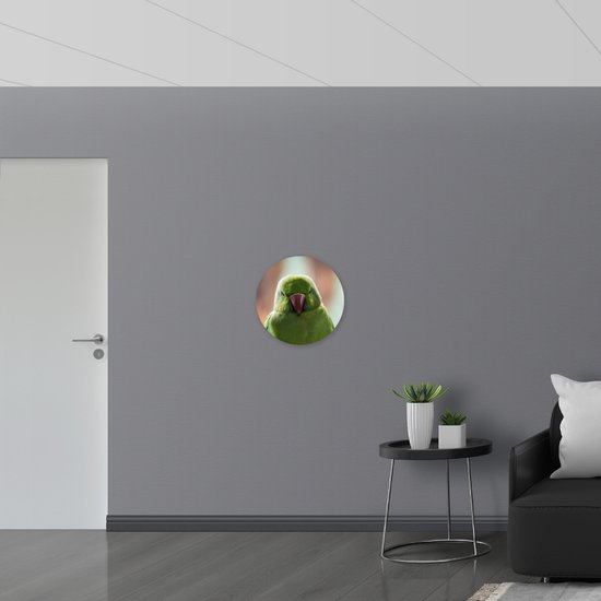 WallClassics - Cercle mural en panneau de mousse PVC - Perruche verte - Photo 50 x 50 cm sur cercle mural (avec système de suspension)