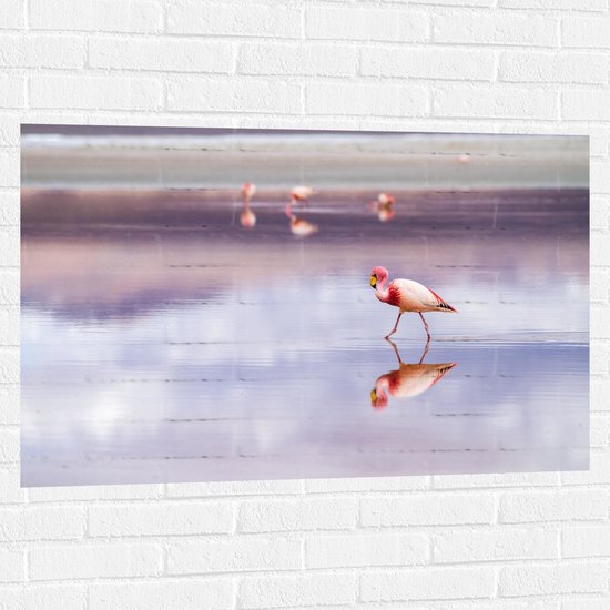 WallClassics - Muursticker - Flamingo in het Water - 105x70 cm Foto op Muursticker