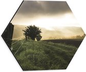 WallClassics - Dibond Hexagon - Boeren Weiland met Afzetting - 30x26.1 cm Foto op Hexagon (Met Ophangsysteem)