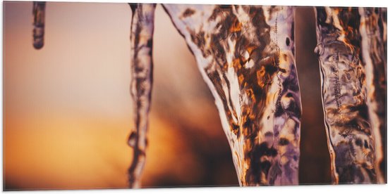 WallClassics - Drapeau - Glaçons - 100x50 cm Photo sur Drapeau Polyester