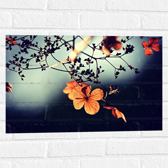 WallClassics - Muursticker - Oranje Bloem aan Boom - 60x40 cm Foto op Muursticker