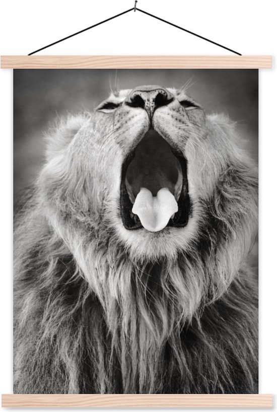 Posterhanger incl. Poster 60x80 cm - Schoolplaat - Dierenprofiel geeuwende leeuw in zwart-wit - Textielposter - Blanke latten