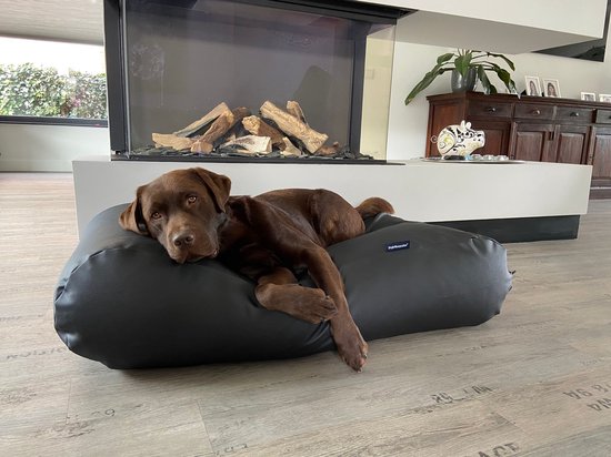 Dog's Companion® Hondenbed - M - 90 x 70 cm - Zwart Leather Look
