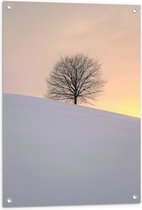 WallClassics - Tuinposter – Kale Boom op Besneeuwde Heuvel - 60x90 cm Foto op Tuinposter (wanddecoratie voor buiten en binnen)