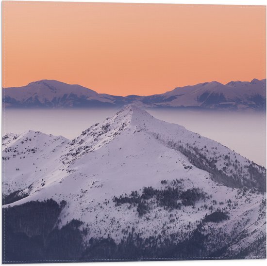 WallClassics - Vlag - Piek van een Berg met Sneeuw - 50x50 cm Foto op Polyester Vlag