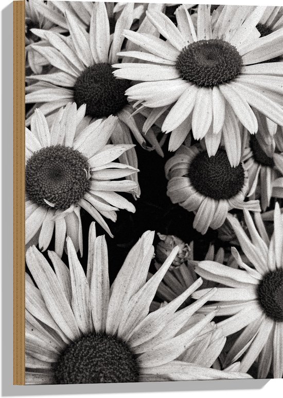WallClassics - Hout - Zwart Wit Foto van Zonnebloemen - 40x60 cm - 9 mm dik - Foto op Hout (Met Ophangsysteem)