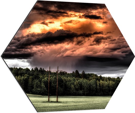 WallClassics - Dibond Hexagon - Zon achter Regenwolken boven Bos - 70x60.9 cm Foto op Hexagon (Met Ophangsysteem)