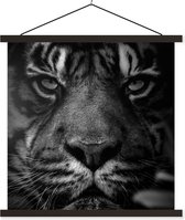 Porte-affiche avec affiche - Affiche scolaire - Jungle - Tigre - Animaux sauvages - Zwart - Wit - 40x40 cm - Lattes noires