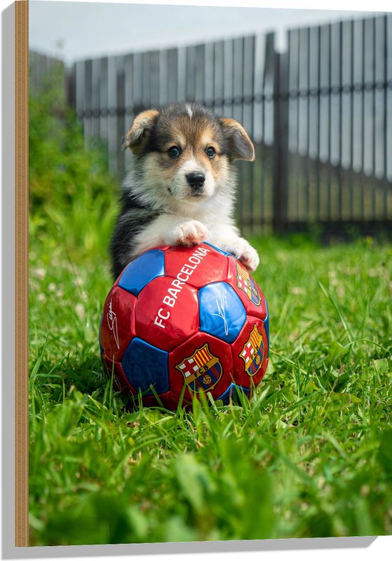 WallClassics - Hout - Hondje Speelt met een Voetbal - 50x75 cm - 9 mm dik - Foto op Hout (Met Ophangsysteem)