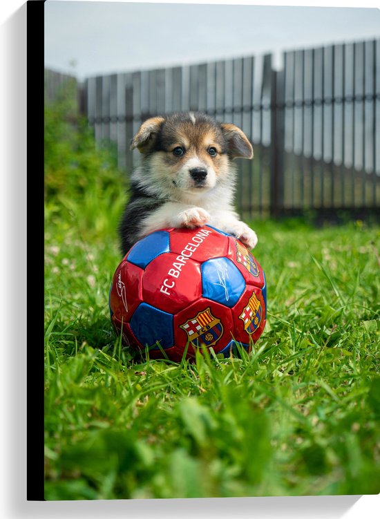 WallClassics - Canvas - Hondje Speelt met een Voetbal - 40x60 cm Foto op Canvas Schilderij (Wanddecoratie op Canvas)