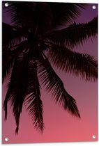 WallClassics - Tuinposter – Silhouette van een Palmboom bij Roze Lucht - 60x90 cm Foto op Tuinposter (wanddecoratie voor buiten en binnen)