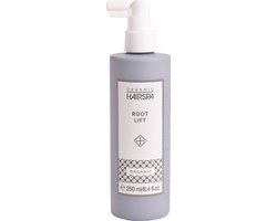 Root Lift 250ml - Organic Hairspa