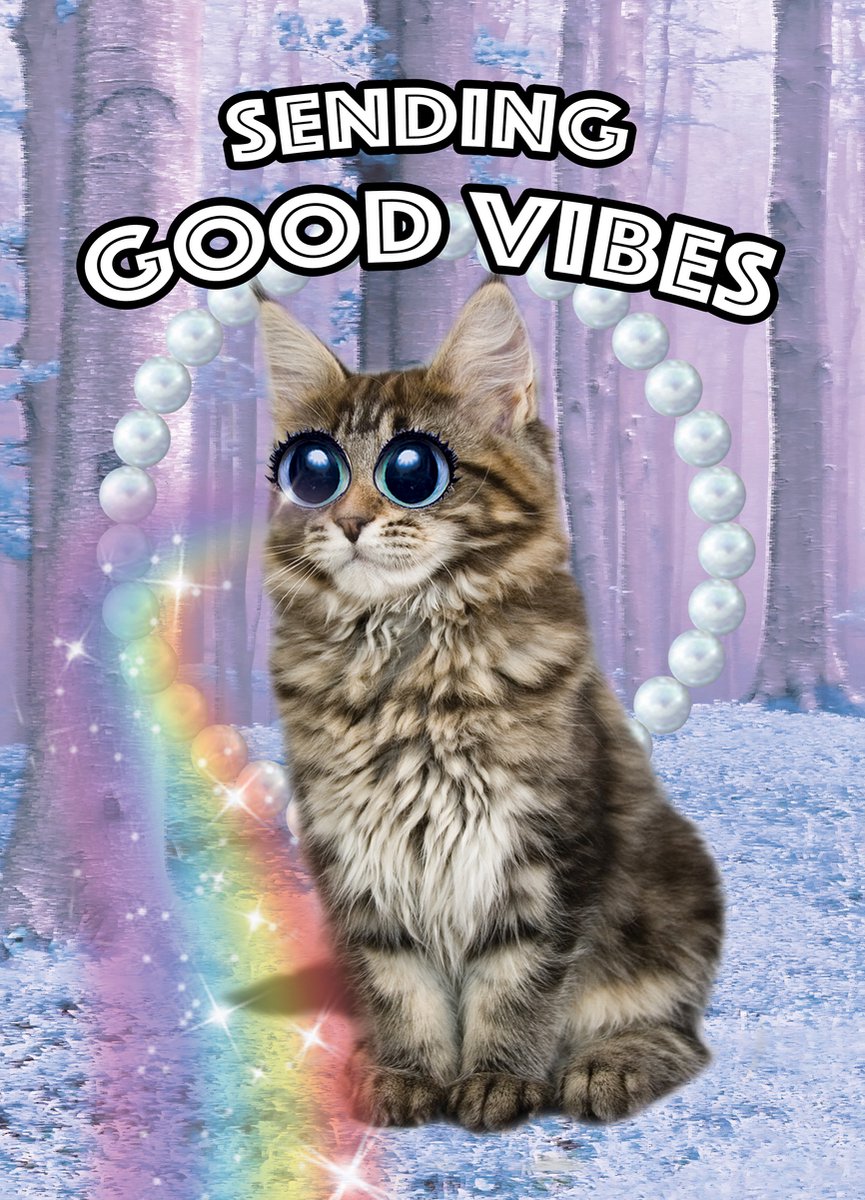Kunstboer Kaart “sending good vibes” 10st - kat poes
