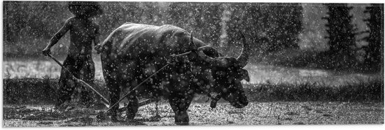 WallClassics - Drapeau - Abeille au centre d' une Bloem jaune - Photo 60x20 cm sur drapeau en polyester