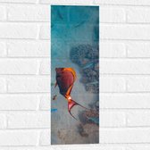Muursticker - Sierlijke Rood met Oranje Vis bij Koraal op Zeebodem - 20x60 cm Foto op Muursticker