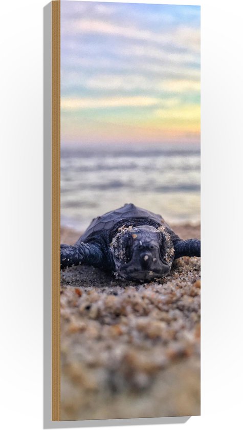 WallClassics - Hout - Babyschildpad op het Strand aan de Zee - 30x90 cm - 9 mm dik - Foto op Hout (Met Ophangsysteem)