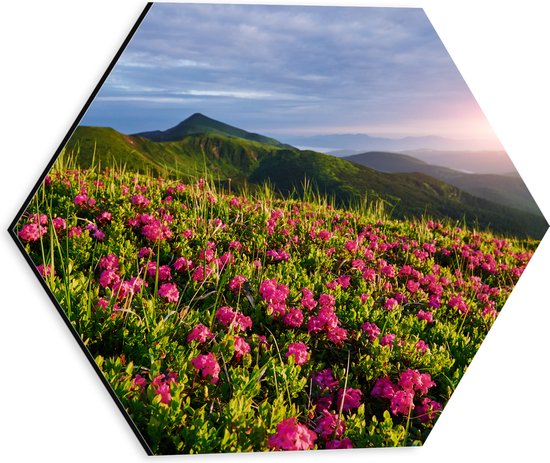 Dibond Hexagon - Zon Verdwijnend Achter Bergen bij Roze Bloemenveld - 30x26.1 cm Foto op Hexagon (Met Ophangsysteem)