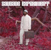 Saudade Experiment - (Got) Everything To Shine (12" Vinyl Single)