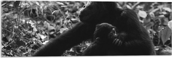 WallClassics - Acrylglas - Chimpansee Moeder met haar Jong (zwart- wit) - 90x30 cm Foto op Acrylglas (Wanddecoratie op Acrylaat)