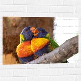 Muursticker - Meerkleurige Lori Vogels op Boomstam - 75x50 cm Foto op Muursticker