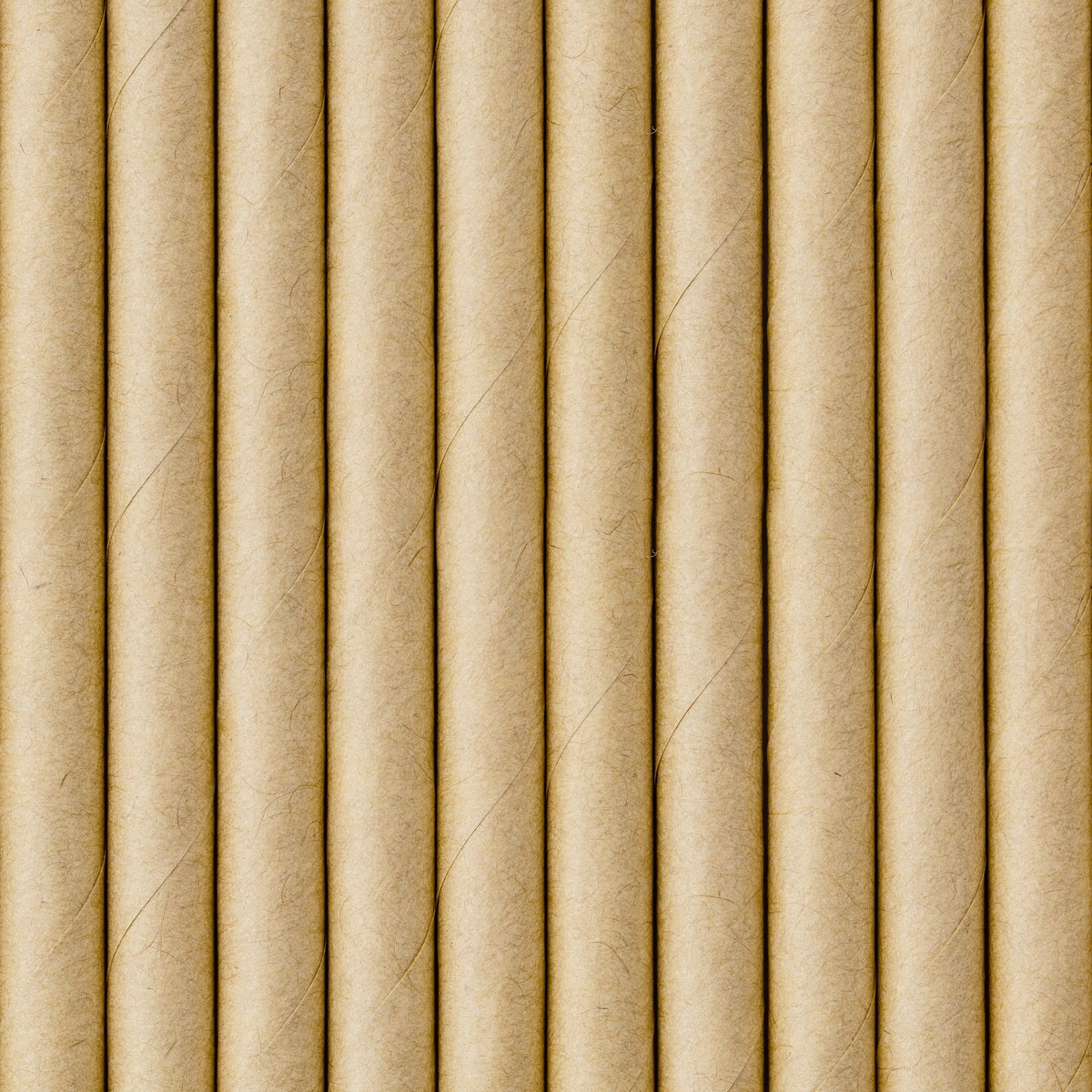 Partydeco Drinkrietjes - papier - 10x - naturel - 19,5 cm - rietjes