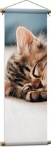 Textielposter - Rustende Kitten op Bank - 30x90 cm Foto op Textiel