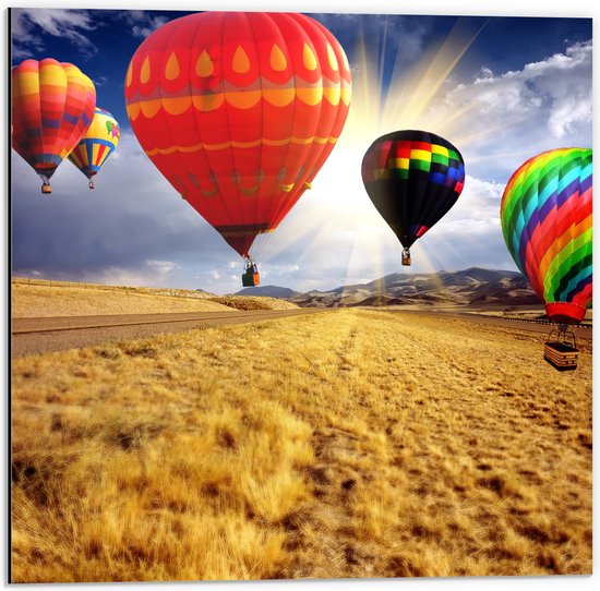 WallClassics - Dibond - Groep Luchtballonnen in Verschillende Kleuren boven Droog Landschap - 50x50 cm Foto op Aluminium (Met Ophangsysteem)