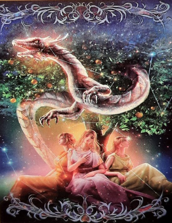 NAIMOER Dragon Diamond Painting Kits voor volwassenen, 5D Flying