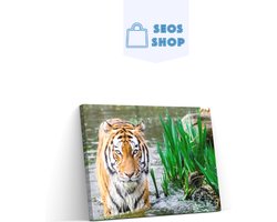 SEOS Shop ® Diamond Painting Volwassenen - Diamond Painting Kinderen - Diamond Painting Pakket Volledig - Bengaalse Tijger - 45x30 cm