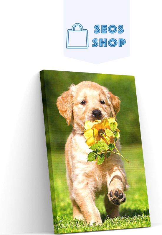 SEOS Shop ® Diamond Painting Volwassenen - Diamond Painting Kinderen - Diamond Painting Pakket Volledig - Puppy met een bloem - 25x30 cm