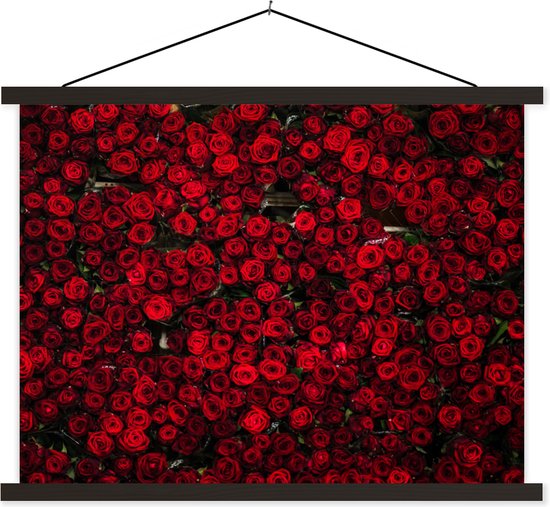 Porte-affiche avec affiche - Affiche scolaire - Fleurs - Roses - Rouge ...
