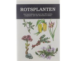 Rotsplanten